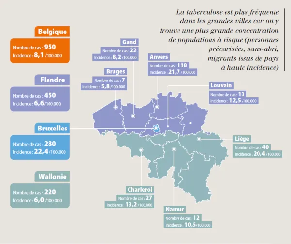 FARES - la tuberculose en Belgique en 2024