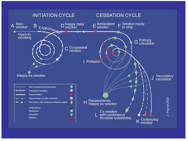 Cycle du fumeur