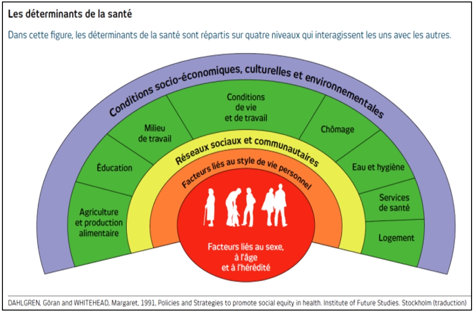 determinantsdesante.jpg